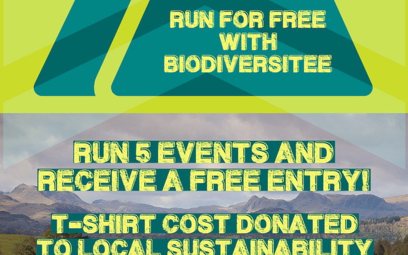 Run for Free
