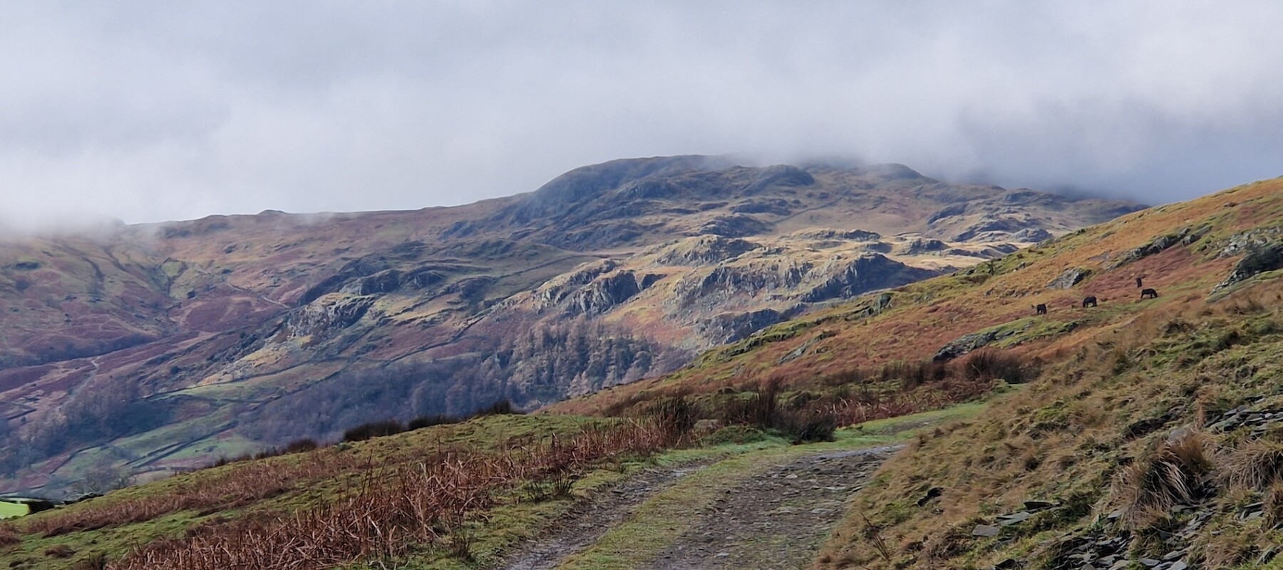Staveley Half Marathon course