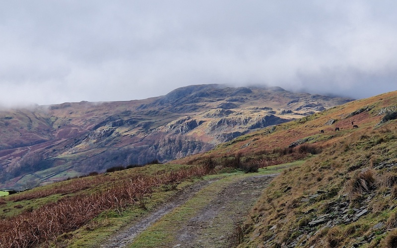 Staveley Half Marathon course